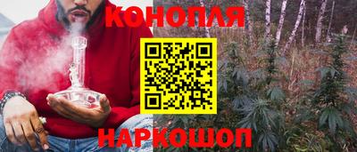 гашик Канаш