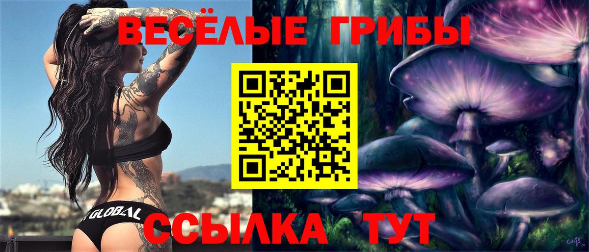 Галлюциногенные грибы Magic Shrooms Лабинск