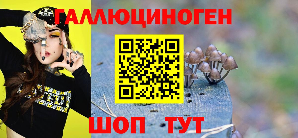 Псилоцибиновые грибы Magic Shrooms  Вход с VPN  Галлюциногенные грибы Cubensis  Лабинск 